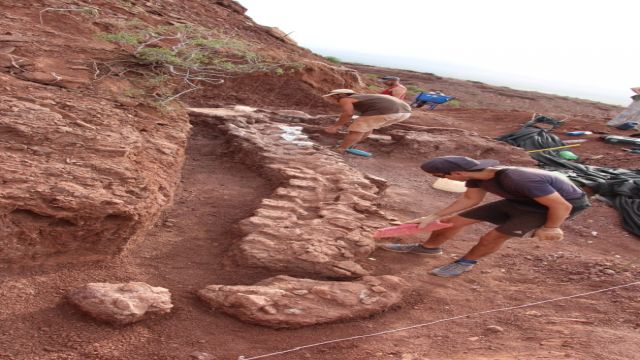 Arjantin'de 140 Milyon Yıllık Titanozor Fosili