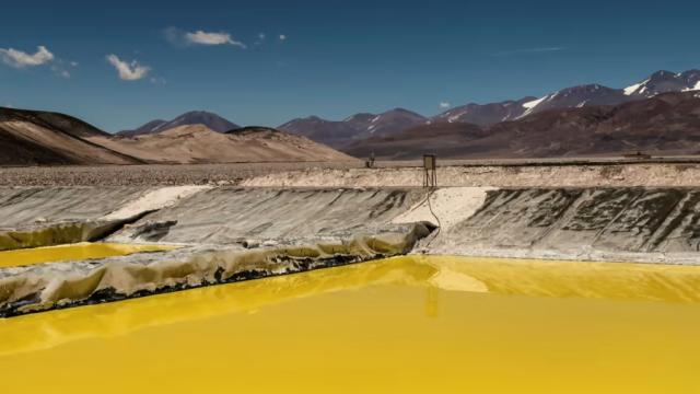 Çinli Gangfeng Lithium Litica Resources'a ait PPG Projesini Aldı