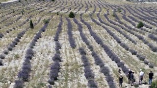 Maden sahaları yerel halka katkı sağlıyor